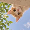 🌛🔹ｕ🔸🌜️落としちゃった鰹節