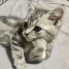 🌛🔹ｕ🔸🌜️😾