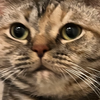 あーちゃん