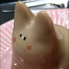 あにゃんたん