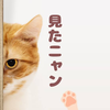 にゃん