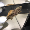 くにひろ