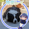 そら