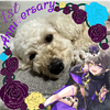 みずっきー