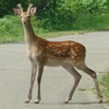 🌾まーちゃん🌾