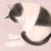 くぅーちゃん🐈‍⬛🐾