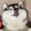 みう
