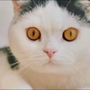 ちーちゃん