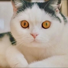 ちーちゃん