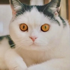 ちーちゃん