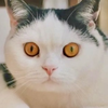 ちーちゃん