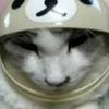 ちーちゃん