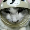 ちーちゃん