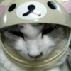 ちーちゃん