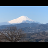 dreammasa