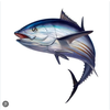 マグロ🐟