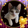   なおぽん🐈🍍@4/11BD