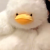 みは🐥💛