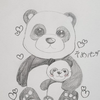 そめパンダ🐼🐾