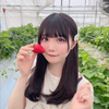 油揚げ撲滅委員会