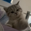 は̤̮ち̤̮