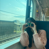 ピュアホワ