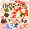 イルカ🐭🐬