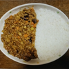休養中のホミ