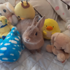 🐰うさママ🐰