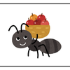 KAWA(かわ)a.k.a.働きアリ🐜