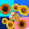  🐬‪🐹ゆうコ🐈✨️🥹🤕 