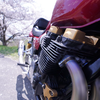 吉くんPhotoGrapher