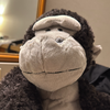 ゴリぴょん🦍✨🌼ののあ🌼応援中