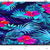✨️🌺✨️𝖍𝖎𝖇𝖎𝖘𝖈𝖘✨️🌺✨️