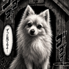 のん犬🌈⭐️