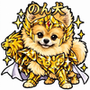 のん犬🌈⭐️