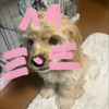 ぬー！！！