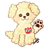 ‎ゴンちゃん🐕‍🦺🌹