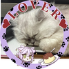 ぽぽにゃん