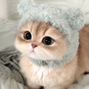 ぴょろ