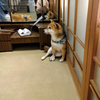 ころりん🧸🤍