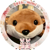 (˘ω˘ ﾐэ)Э🐰🐰🦫