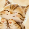 野良猫♥️🦆💛 