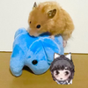 さゆな。
