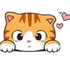 ねこちゃん💥👀💥（わりといい子）