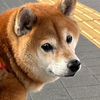 香