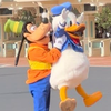 もちもちの木