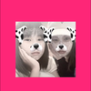 MAO❤︎