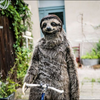 ナマケン🦥