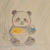 🐼🎀まちこ🌺🐬